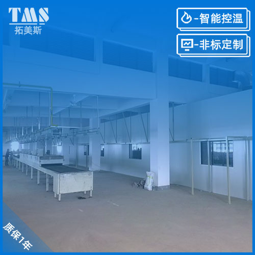 嘉兴悬挂链烘干炉
